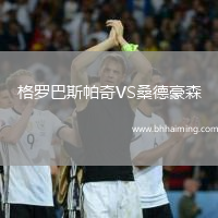 格羅巴斯帕奇VS桑德豪森