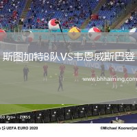 斯圖加特B隊(duì)VS韋恩威斯巴登