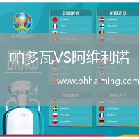 帕多瓦VS阿維利諾