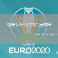 棗莊隊(duì)VS山東臨沂球探