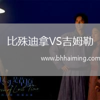 比殊迪拿VS吉姆勒