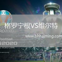 格羅寧根VS維爾特