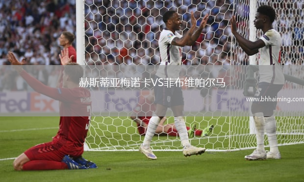 赫斯蒂亞梅諾卡VS菲布維帕爾馬