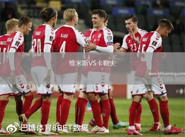 維米斯VS卡勒夫