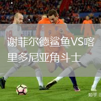 謝菲爾德鯊魚VS喀里多尼亞角斗士