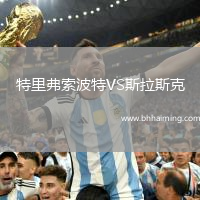 特里弗索波特VS斯拉斯克