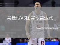 哥廷根VS圖寅根雷達(dá)虎