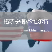 格羅寧根VS維爾特