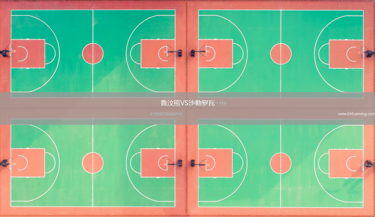魯汶熊VS沙勒羅瓦