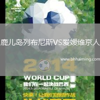 鹿兒島列布尼斯VS愛媛維京人