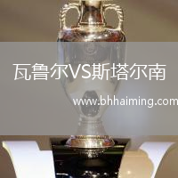 瓦魯爾VS斯塔爾南
