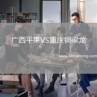 廣西平果VS重慶銅梁龍