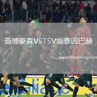 桑德豪森VSTSV施泰因巴赫