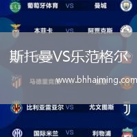 斯托曼VS樂范格爾