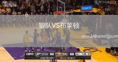 狼隊(duì)VS布萊頓