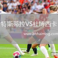特斯蒂拉VS杜博西卡
