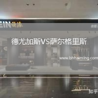 德尤加斯VS薩爾格里斯