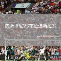 皮斯塔尼VS布拉迪斯拉發(fā)