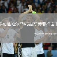 菲布維帕爾馬VS赫斯蒂亞梅諾卡