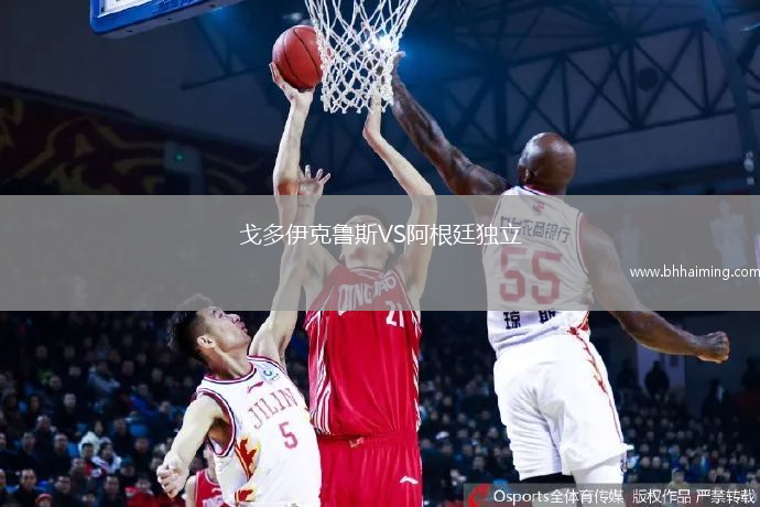 戈多伊克魯斯VS阿根廷獨(dú)立