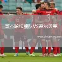 哥本哈根狼隊(duì)VS霍爾貝克