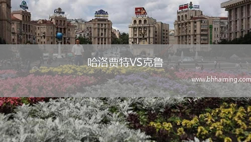 哈洛賈特VS克魯