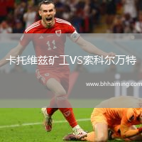 卡托維茲礦工VS索科爾萬特