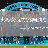 弗羅茨瓦夫VS阿迪高