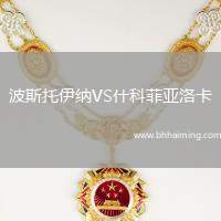 波斯托伊納VS什科菲亞洛卡