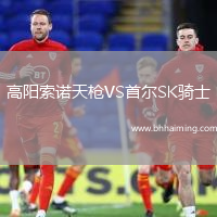 高陽索諾天槍VS首爾SK騎士