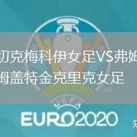 切克梅科伊女足VS弗姆蓋特金克里克女足