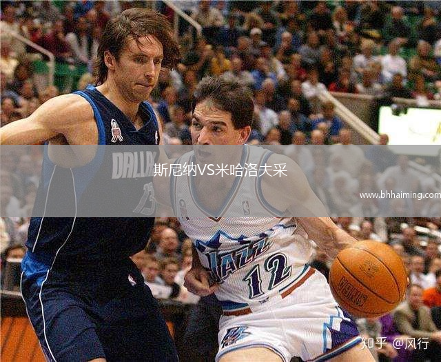 斯尼納VS米哈洛夫采