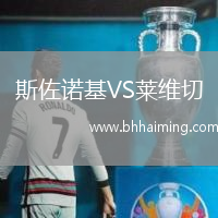 斯佐諾基VS萊維切
