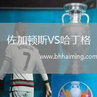 佐加頓斯VS哈丁格
