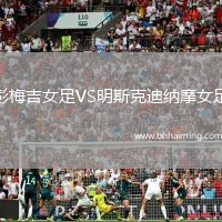 彭梅吉女足VS明斯克迪納摩女足
