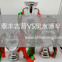 泰豐吉普VS黑水博辛