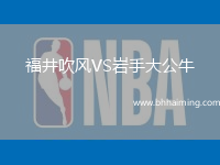 福井吹風VS巖手大公牛