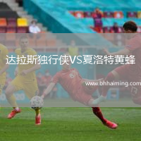 達拉斯獨行俠VS夏洛特黃蜂