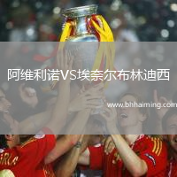 阿維利諾VS埃奈爾布林迪西