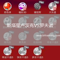 斯塔里盧茨克VS羅夫諾