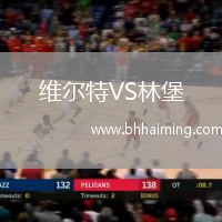 維爾特VS林堡