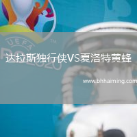達拉斯獨行俠VS夏洛特黃蜂