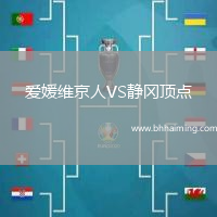 愛媛維京人VS靜岡頂點
