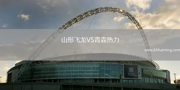 山形飛龍VS青森熱力