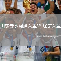 山東赤水河酒女籃VS遼寧女籃