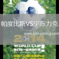 帕度比斯VS寧布力克