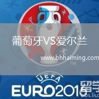 葡萄牙VS愛爾蘭