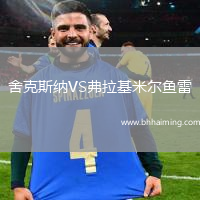 舍克斯納VS弗拉基米爾魚雷