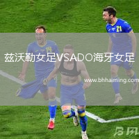 茲沃勒女足VSADO海牙女足
