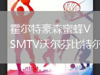 霍爾特豪森蜜蜂VSMTV沃爾芬比特爾